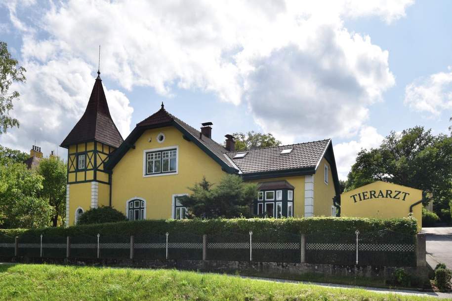 Exklusive Rarität - Villa mit traumhaftem Garten und Ordination in Zwettl, Haus-kauf, 949.000,€, 3910 Zwettl