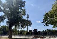 Luxuriöses Haus an der Alten Donau nahe UNO City ,U6,U1| Erstbezug