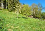 Leben mit Weitblick – Hanglage ohne Bauzwang