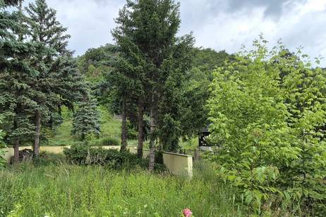 Ein-/Mehrfamilienhaus auf Eigengrund, Haus-kauf, 599.000,€, 2103 Korneuburg