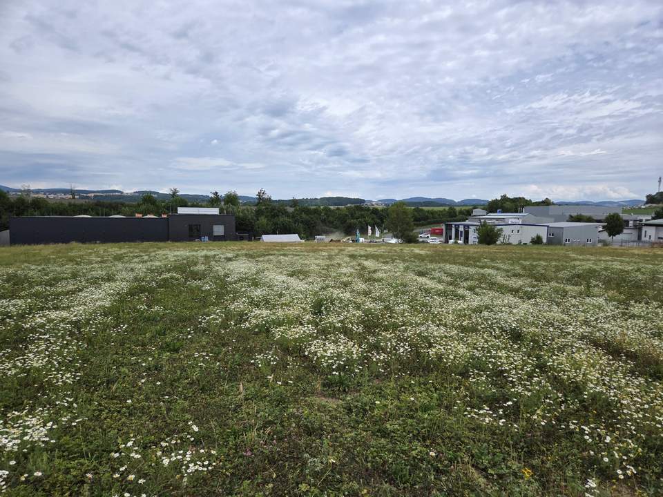 Betriebsbaugrund Engerwitzdorf