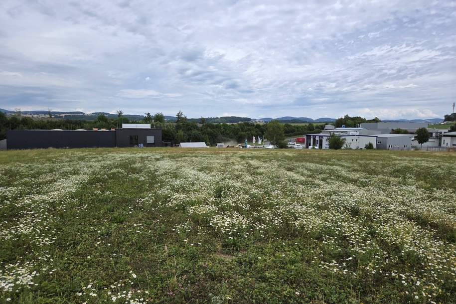 Betriebsbaugrund Engerwitzdorf, Grund und Boden-kauf, 2.141.040,€, 4209 Urfahr-Umgebung