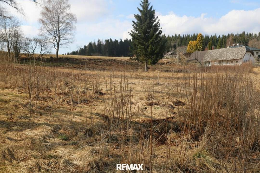 Großzügiges Grundstück mit Entwicklungspotenzial – ideal für Eigenheim & Bauträger“