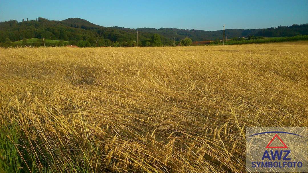Schöner Acker mit ca. 7 Hektar Größe!