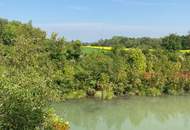 Kleingartenidyll beim Marchfelder Kanal im Eigentum