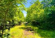 Mehr als 5000m² Grund! Wo sich Fuchs und Hase "gute Nacht" sagen!