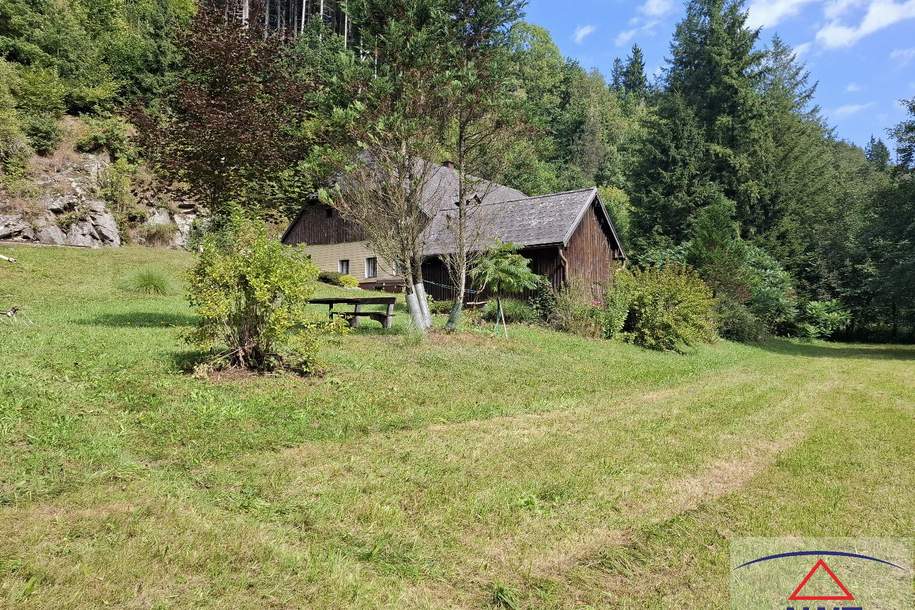 DAS GIBT’S SO SCHNELL NICHT WIEDER!, Haus-kauf, 4150 Rohrbach