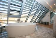 Exklusives Penthouse - herrlicher Donau- und Weinbergblick