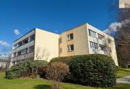 Gut geschnittene 1-Zimmer-Wohnung mit Loggia und Entwicklungspotenzial