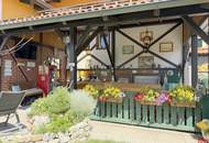 Großes Einfamilienhaus mit herrlicher Terrasse und vielen Extras