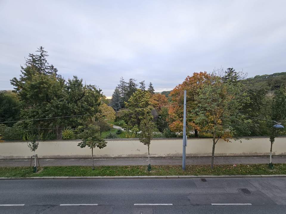 Blick auf Botanischen Garten/Tiergarten Schönbrunn, Park als Vis a Vis, Fernblick (kein direktes Vis a Vis), 10 Min zur U-Bahn