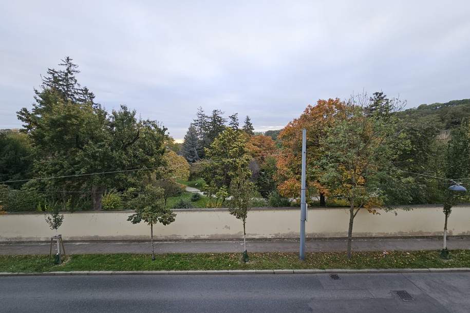 Blick auf Botanischen Garten/Tiergarten Schönbrunn, Park als Vis a Vis, Fernblick (kein direktes Vis a Vis), 10 Min zur U-Bahn, Wohnung-miete, 950,00,€, 1130 Wien 13., Hietzing