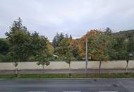 Blick auf Botanischen Garten/Tiergarten Schönbrunn, Park als Vis a Vis, Fernblick (kein direktes Vis a Vis), 10 Min zur U-Bahn