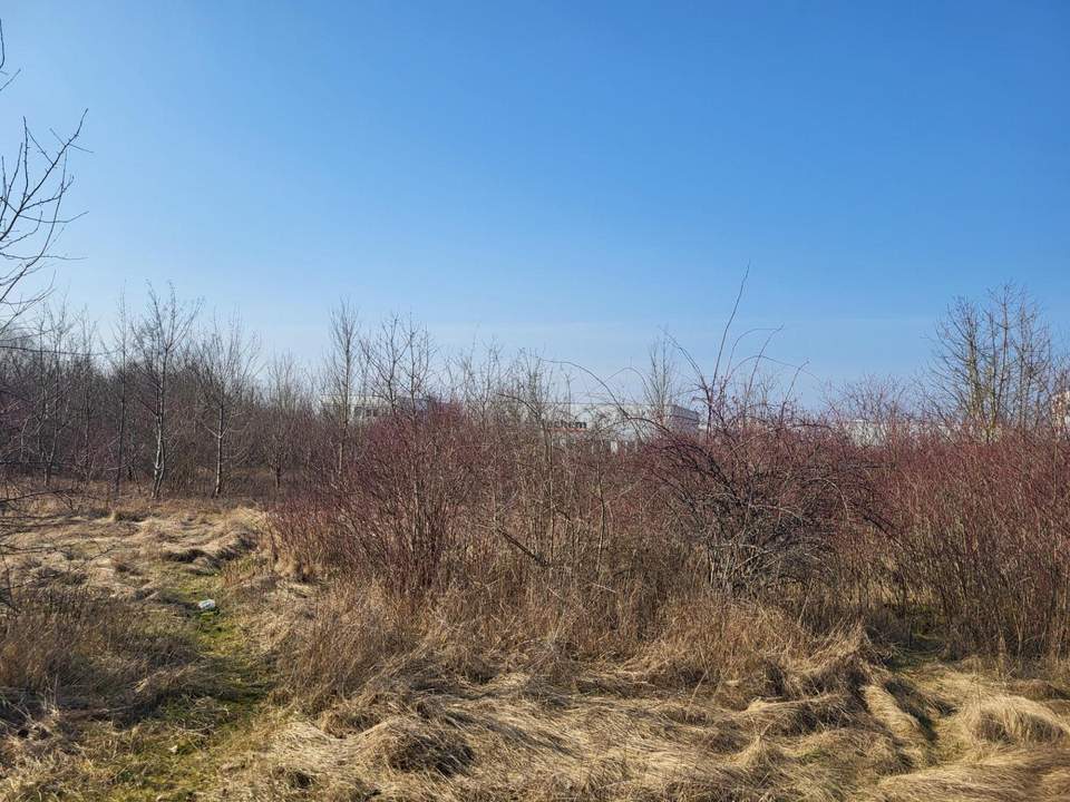 Gewerbegrundstück Wels, eingeschränkt gemischtes Baugebiet