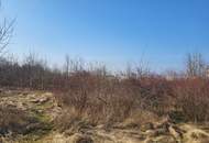 Gewerbegrundstück Wels, eingeschränkt gemischtes Baugebiet