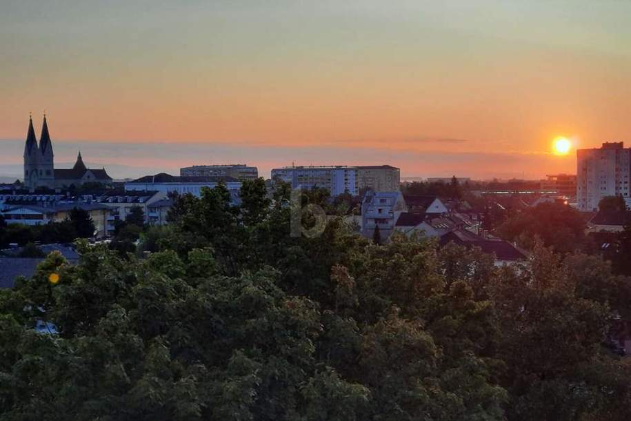 PREISHIT! SCHÖNER AUSBLICK IN TOPLAGE!, Wohnung-kauf, 170.000,€, 4600 Wels(Stadt)