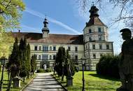 Prunkvolles Schloß mit Park und Schloßteich