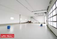 Neu sanierte Lagerhalle in zentraler Lage nahe Autobahnkreuz Sattledt