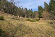 Zwei sanierungsbedürftige Häuser in absoluter Ruhe/Alleinlage