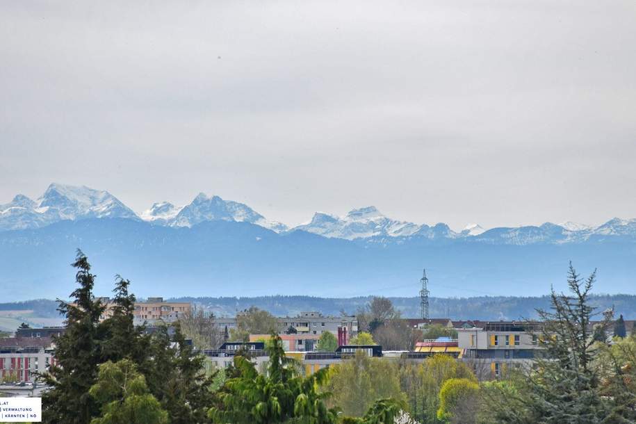 Linz/Leonding: TRAUMGRUNDSTÜCK sucht Traumhaus, Grund und Boden-kauf, 4060 Linz-Land