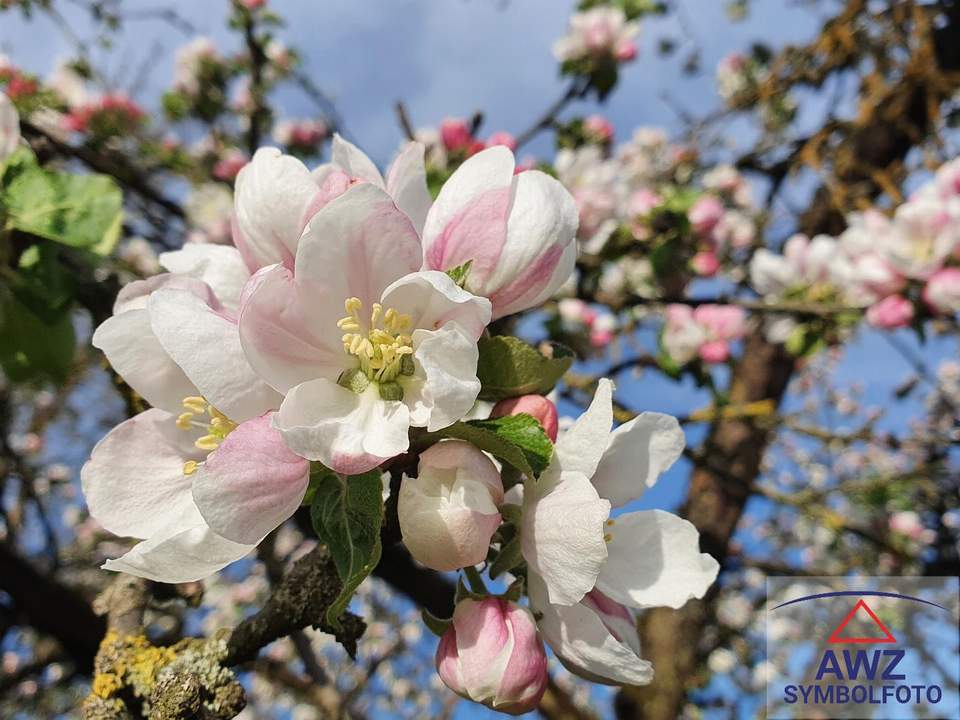 TOP-Gelegenheit: Größeres Unternehmen / Anwesen aus Pensionsgründen zu verkaufen.