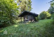 Wunderschöne Villa mit Pool und weitläufigem Grundstück, Nähe Pressbaum
