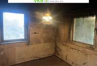 Naturnah & ruhig: Grundstück mit Altbestand in Spattendorf - Gemeinde Alberndorf in der Riedmark (GST 2438/1)