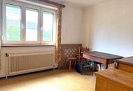 Haus mit sonnigem Garten sucht Familie