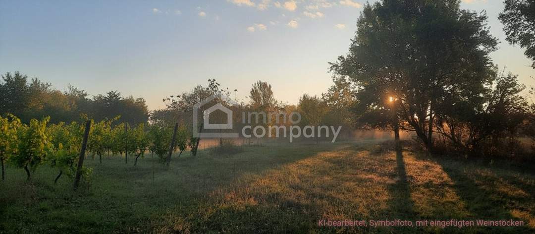 Großes arrondiertes Ackergrundstück ( fast 2ha ) in Illmitz, Burgenland