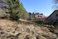 Grundstück Nähe Pressegger See, ca. 400m