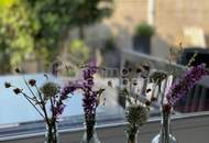 Bungalow in Attersee-Ort. 150m² mit kleinem Garten und großer Terrasse!