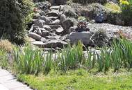 Großzügiges Wohnhaus nit herrlichem Garten und tollen POOL!