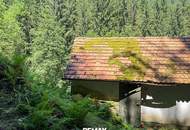 Rückzugsort mit 2.100 m² Grund in Ligist – kleines Bauernhaus für Aussteiger, Wochenendnutzer oder Neudenker