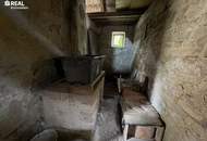 charmantes 3 Zimmer-Haus mit Garten in Karnabrunn - ideal zur Sanierung!