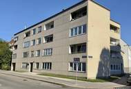 ERSTBEZUG nach Sanierung I Großzügige 2 Zimmer Wohnung mit Ausblick ins Grüne I inkl. Tischlerküche mit Siemens Geräten I Alte Donau Nähe