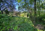 Traumhaus in 1190 Wien - 180m², 6 Zimmer, großer Garten, Balkone, Terrasse, Stellplatz uvm.