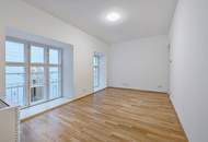 Klimatisierte, sonnige Gartenwohnung in repräsentativem Palais im Botschaftsviertel nächst Schloss Belvedere!