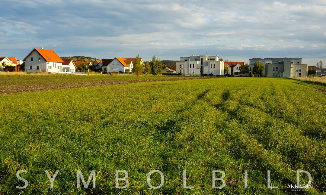 Baugrund in der Nähe des Neusiedlersees, im wunderschönen Purbach