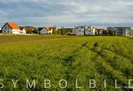 Baugrund in der Nähe des Neusiedlersees, im wunderschönen Purbach