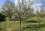 EINZIGARTIGES NATURPARADIES - GROSSZÜGIGER LANDSITZ WO PARKLANDSCHAFT AUF BLÜHENDE OBSTGÄRTEN TRIFFT