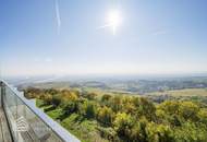 Einzigartiger Blick über Wien! Büro mit Terrasse am Kahlenberg