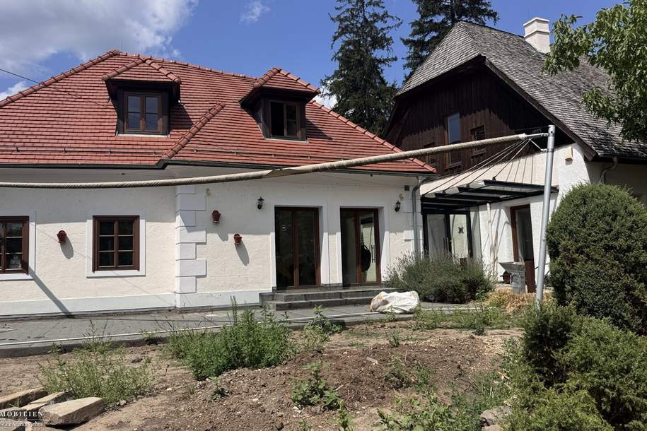 Charmanter Rückzugsort mit Atelier zum Entfalten, Haus-kauf, 3.000.000,€, 1190 Wien 19., Döbling