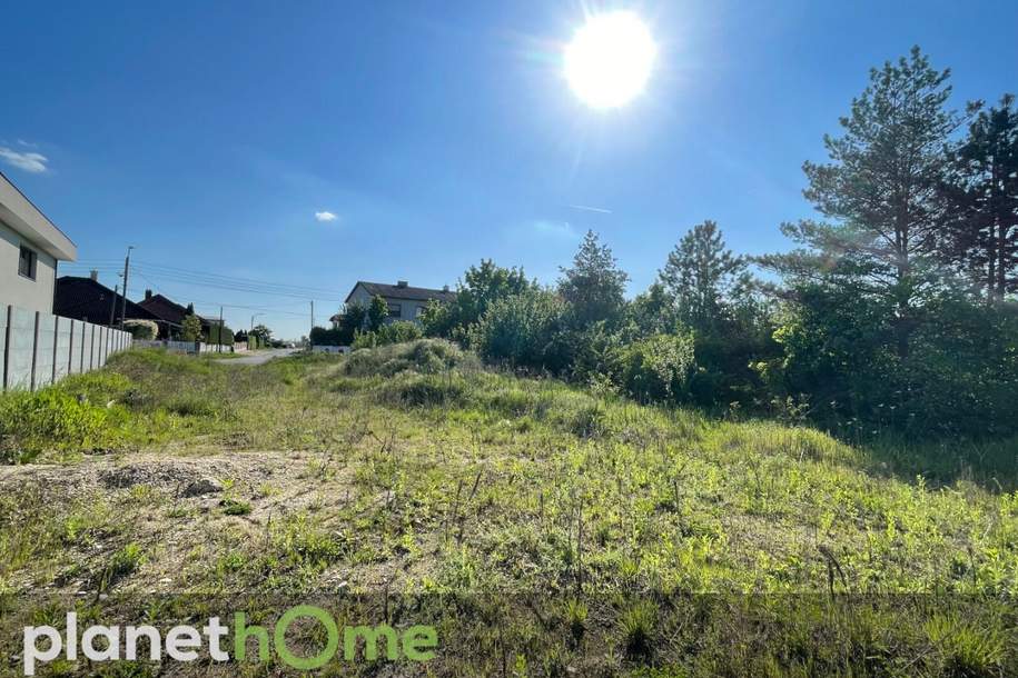 Herrlicher Baugrund in Ruhelage, Grund und Boden-kauf, 298.000,€, 2231 Gänserndorf