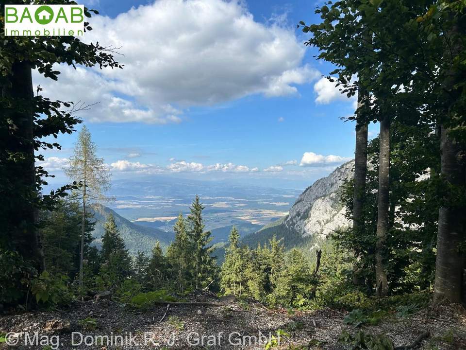 NEUBAU RUNDSTAMMCHALET | PANORAMABLICKE AUF 1.200m HÖHE MIT FREIZEITWOHNSITZWIDMUNG IN PETZEN NÄHE