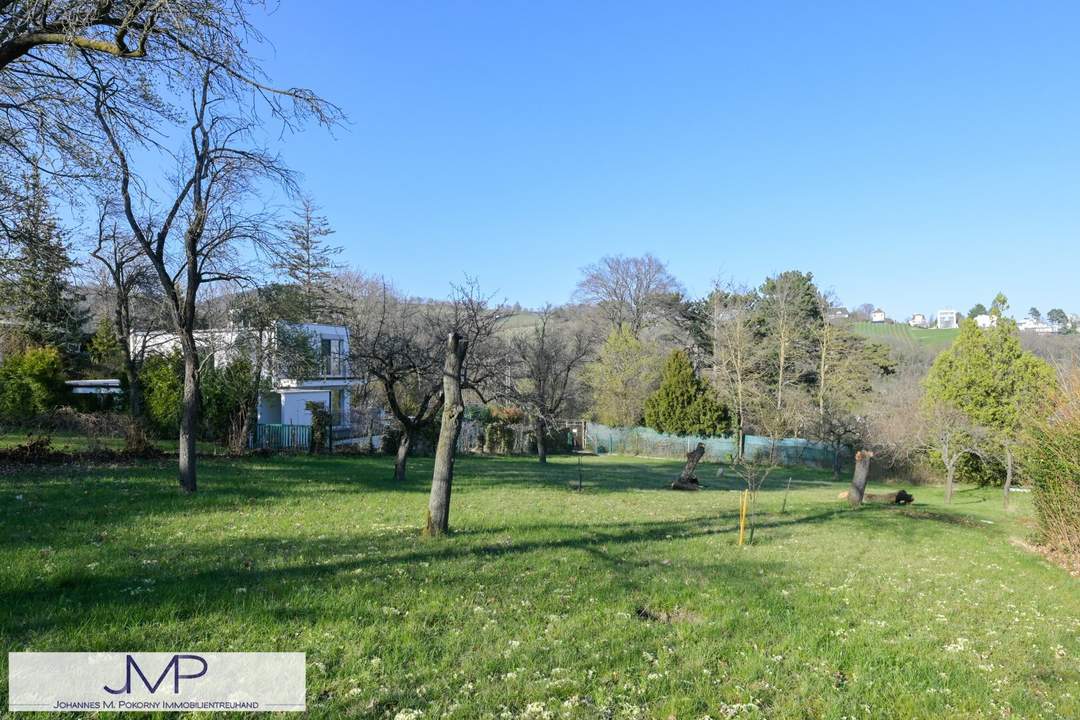 Schönes, größeres Kleingartengrundstück in absoluter Ruhelage - mit PKW direkt erreichbar!