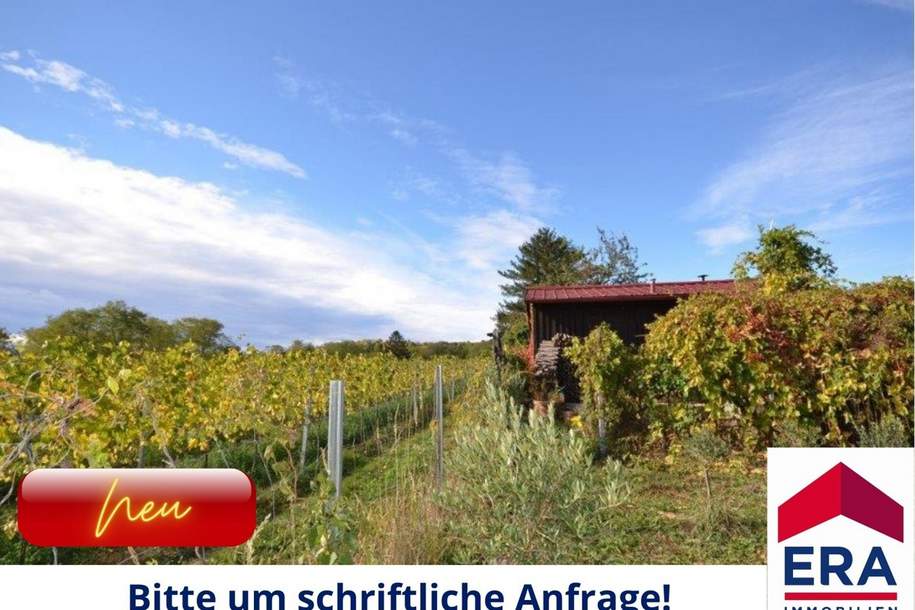 Neuer Preis: Wien KAUF - Reizendes Tinyhaus am Bisamberg, Haus-kauf, 330.000,€, 1210 Wien 21., Floridsdorf