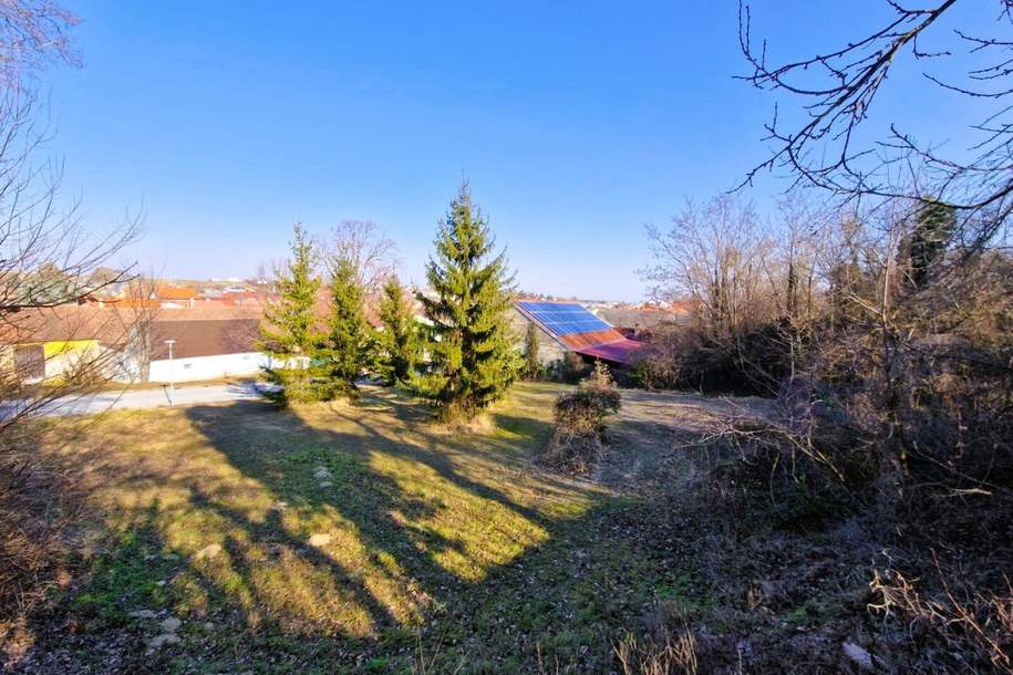 Sonniges Grundstück in Auersthal – Ihr Platz zum Leben! PRIVATVERKAUF!, Grund und Boden-kauf, 184.500,€, 2214 Gänserndorf
