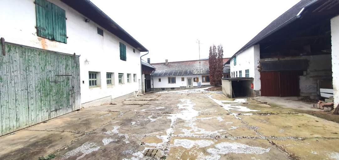 2014 Puch - Bauernhof für Wohnen und Gewerbe - 30 min von Wien !