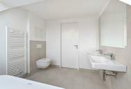 Dachgeschoss Maisonette I 3 ZI und Dachterrasse I nahe der Alten Donau