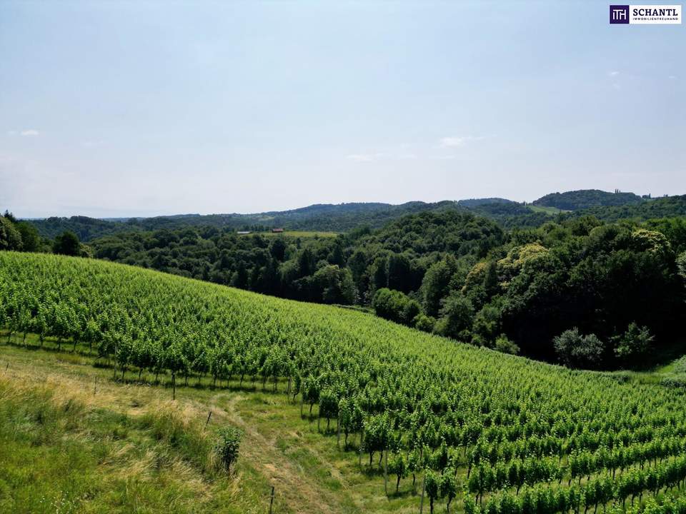 Ein Logenplatz an der Südsteirischen Weinstraße: Exklusives Chalet-Grundstück mit spektakulärem Panoramablick